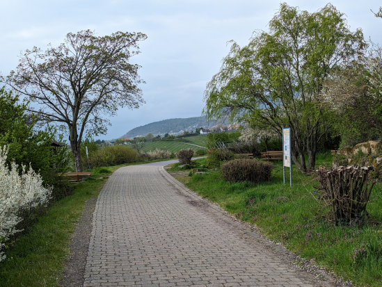 Hohe Loog, Neustadt
16. April 2023